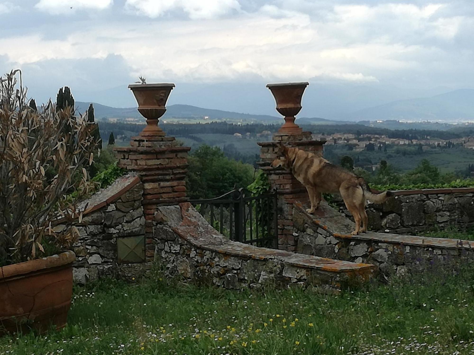Agriturismo Podere La Cava Mercatale Val Di Pesa Exterior photo