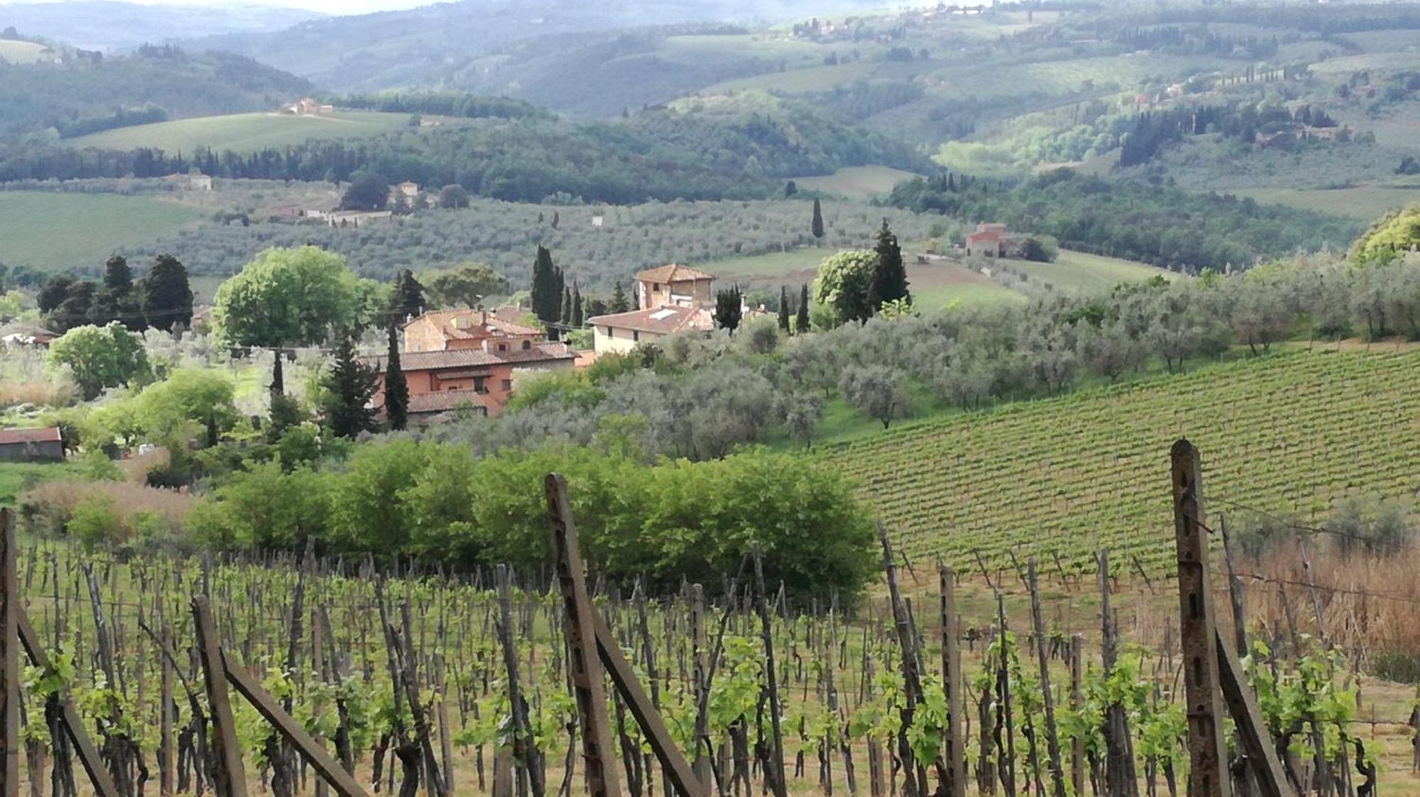 Agriturismo Podere La Cava Mercatale Val Di Pesa Exterior photo